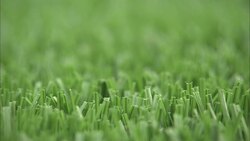 Artificial turf covers the stadium at the University of Michigan. Stock Footage