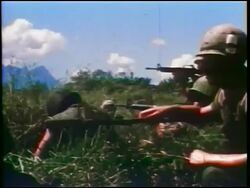 1960s PROFILE group of soldiers shooting M-16 rifles in grass / Vietnam War / documentary Stock Footage