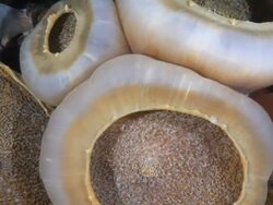 Coral And Fish Stock Footage