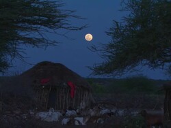 Maasai Ceremony - Hut at night with moon, sound of warriors singing, WITH AUDIO Stock Footage