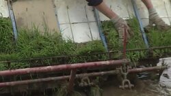 ONLY ON AP NKorean farmers face heavy workload in crucial rice transplanting season News Clip