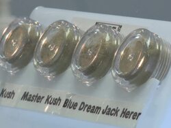 Marijuana, hash and glass pipes in a medical marijuana dispensary Stock Footage