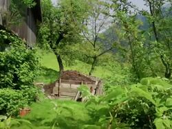 HD: Barn with Manure and Plants Stock Footage