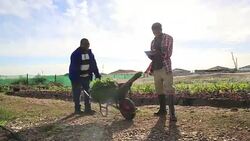 Young African Organic Farmer using New Technology Stock Footage