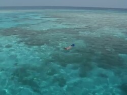 Woman snorkelling in clear, blue waters, view from boat, ZI, Vaavu Atoll, The Maldives Stock Footage
