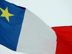 Flag of Acadia flying in a violent wind Stock Footage