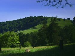 Virginia Rolling Hills Stock Footage