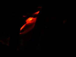 Flames in brazier, black background, close up Stock Footage