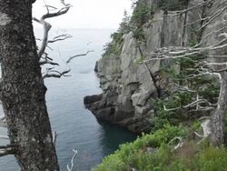 HD video Coastline cliffs Quoddy Head State Park Maine Stock Footage