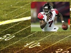 A government official tells The AP Michael Vick will be allowed to serve the last two months of his sentence under home confinement. Instructional Video