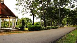 man running Stock Footage