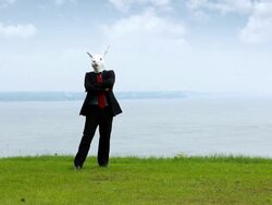 Easter Businessman in Nature Stock Footage