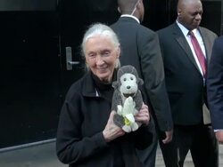 Jane Goodall at the 'Good Morning America' studio Stock Footage