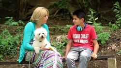 Conversation on the bench Stock Footage