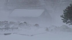 Blizzard, Snow Storm, Blowing Snow, Whiteout - Plymouth, Massachusetts Stock Footage