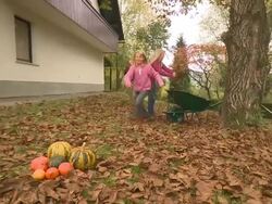 Raking Leaves Stock Footage
