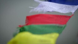 Flags in the wind Stock Footage