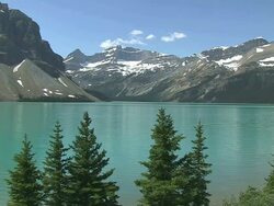 WS View of Bow Lake / Banff Nationalpark, Alberta, Canada Stock Footage