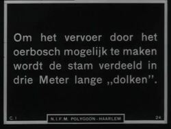 A logging camp in the jungle Stock Footage