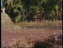 HAITI: TROPICAL STORM GORDON: DEATH TOLL REACHES 400 Instructional Video