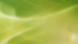 Green Backgrounds (Loopable) Stock Footage