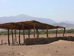 WS Shot of chauchilla cemetery with skull and bones / South Of Peru, Nazca, Peru Stock Footage
