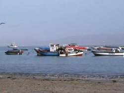 WS Shot of boats standing in seaport / Paracas, Nazca, Peru Stock Footage