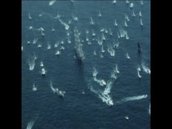 SYND 27 6 76 TALL SHIPS ARRIVE IN NEWPORT RHODE ISLAND Instructional Video