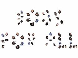 HD: Jobs For All Stock Footage