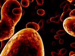 SEM Molecular Structure Stock Footage