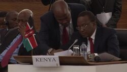 CLEAN : African leaders address DRC issues at Sout News Clip