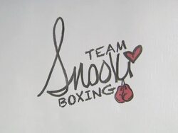 ATMOSPHERE: signage AT Nicole 'Snooki' Polizzi Introduces Team Snooki Boxing, New York, NY, United States, 01/12/2012 Stock Footage