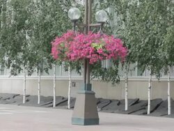 MS Young man in black suit dancing and walking on street / Minneapolis, Minnesota, United States Stock Footage