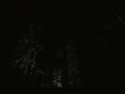 WS SLO MO Snowmobile jumping in snow covered forest / Mammoth Lakes, California, USA Stock Footage