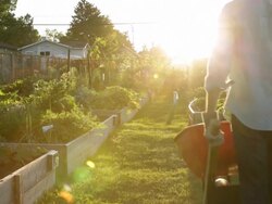 Group carrying plants and garden equipment through community garden Stock Footage