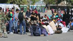 Greek soldiers guard Syrian migrants fleeing the war and escaping to Europe, who have landed on the Greek island of Lesvos on the north coast at Efthalou. Up to 4,000 migrants a day are landing on the island and overwhelming the authorities. They are trafi Stock Footage