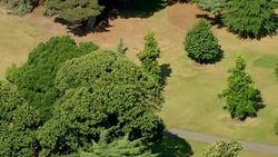 Aerials shots of Kew Gardens on the hottest September day since 1911 News Clip