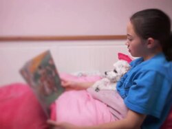 Little girl reading bedtime story to pet Stock Footage