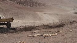 Latest demolitions threaten the livelihood of residents News Clip