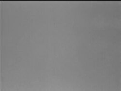 MODEL AIRCRAFT AND STORKS News Clip