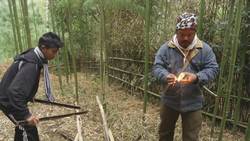 Apatani Bamboo, India: Cooking with Bamboo Instructional Video