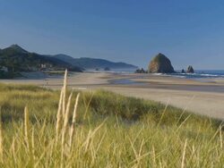 HD Oregon Coast Stock Footage