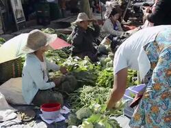 MS View of Woman selling vegetables at Local Market / Nyaungshwe, Shan State, Myanmar Stock Footage