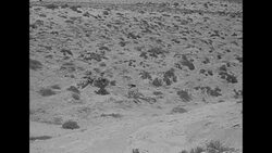 British soldiers advancing in Western Desert in North Africa during World War II News Clip
