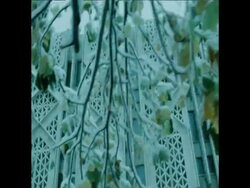 UPITN 5 11 78 TASHKENT EARTHQUAKE TREMOR AFTERMATH, SNOW SCENES News Clip