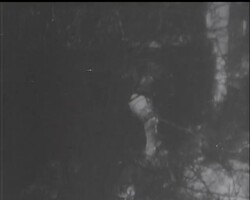 SCREEN SHARPSHOOTERS News Clip