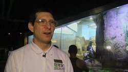 Endangered penguin hatches at US aquarium News Clip