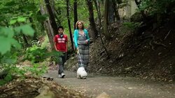 Nature walks Stock Footage