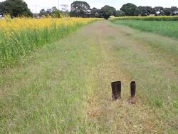 The boot Stock Footage