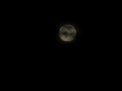 WS T/L Clouds moving past full moon in night sky / Xian, Shaanxi, China  Stock Footage